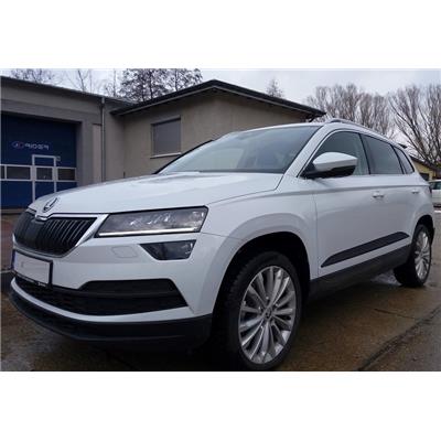 Baguettes latérales adhésives SKODA Karoq depuis 2017